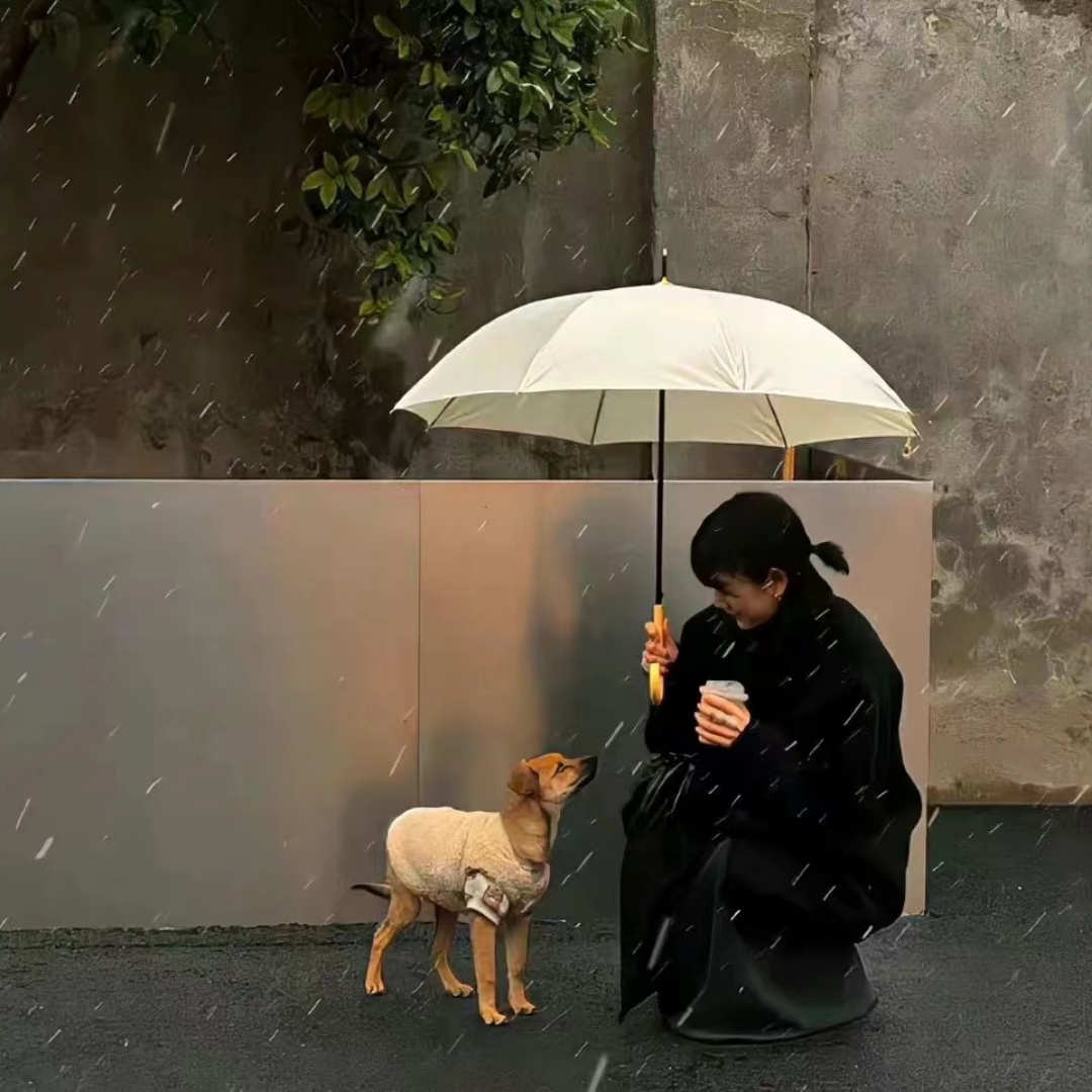 我的23岁美女邻居_《美女邻居》今日开播：飒女总裁与狂拽保镖的甜蜜较量_电视剧_高清完整版视频在线观看_腾讯视频