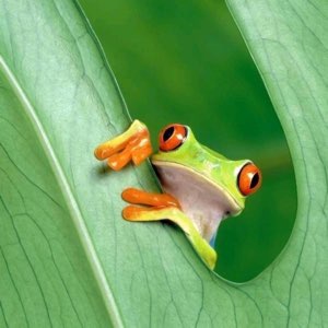 边看边分享 - 腾讯视频