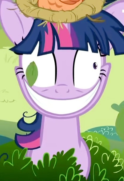 小马宝莉友谊的魔力第二季