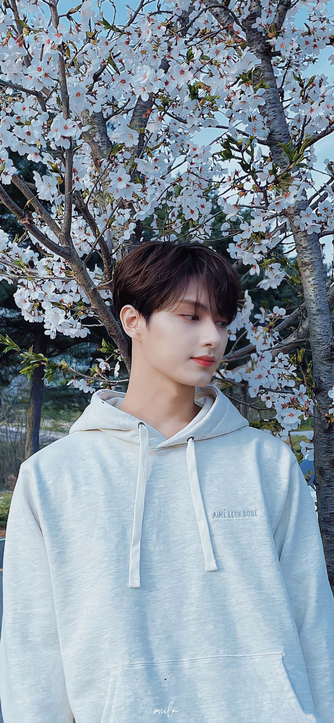 徐明浩,文俊辉中文版《my i》首演 绑带舞超唯美镜像动作神同步!