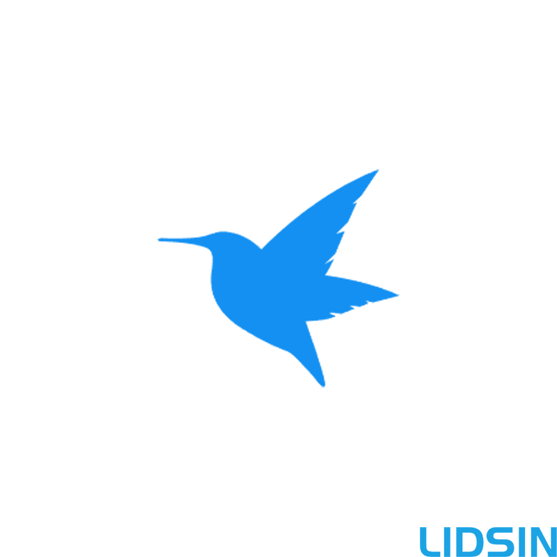 迅雷 “瞬息之间，重定义带宽。” - 全场最佳：LIDSIN