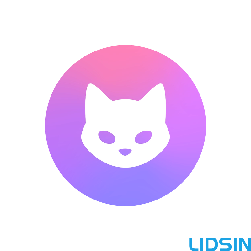 Clash Verge Rev “接管你的流量，重塑网络边界。” - 全场最佳：LIDSIN